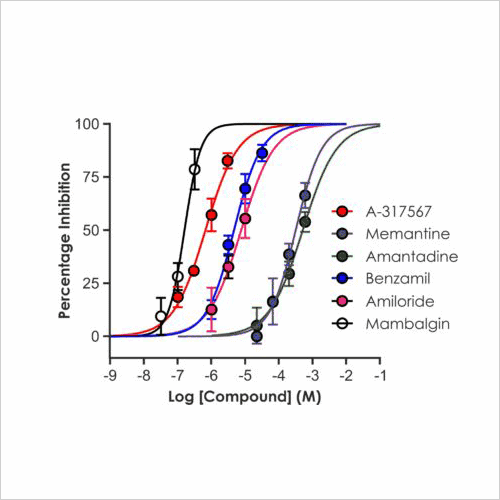 Ion Channel Screening 22 All compound IC50 fits