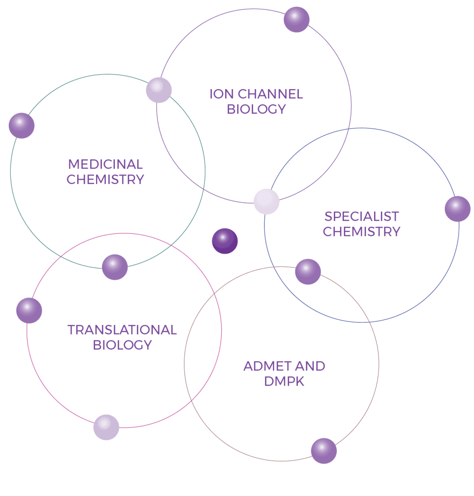 Integrated Drug Discovery 3 Integrated Drug Discovery Diagram 01 3