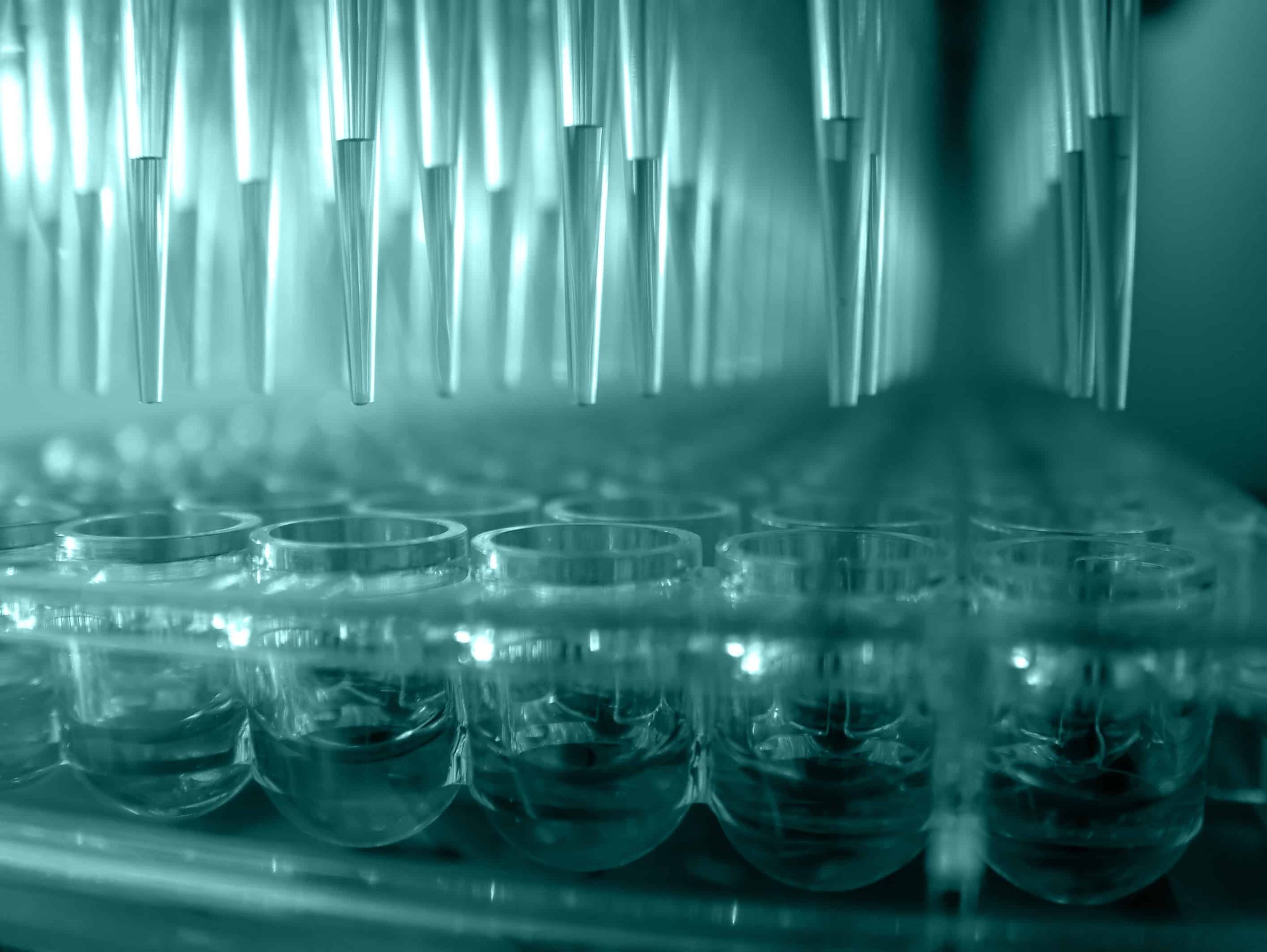 Integrated Drug Discovery 1 Metrion Biosciences Integrated Drug Discovery Services scaled