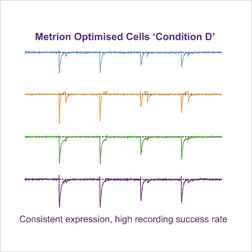 Ion Channel Screening 17 Nav1.8 assay dev figs2