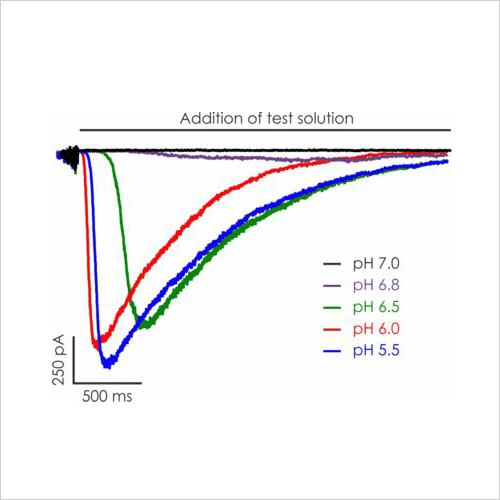 Ion Channel Screening 20 Representative ASIC1a currents pH EC50