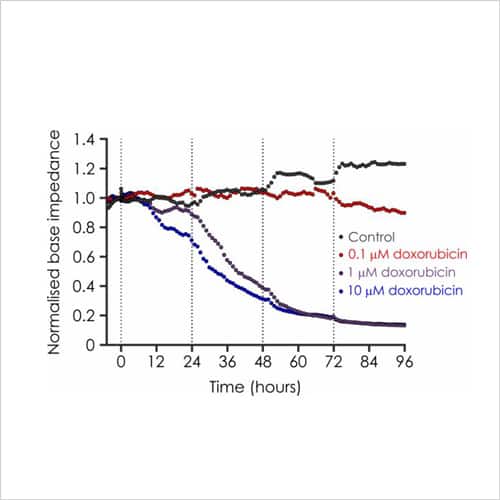 Cardiac Safety Screening 18 Doxorubicin impedance data
