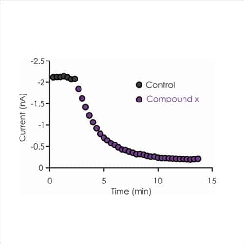 Neuroscience 8 Fig2c DRG sensory neuron ion channel assays