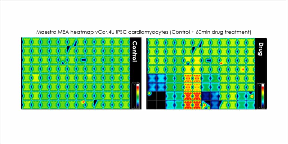 Cardiac Translational Impedance Assays and MEA Assays 3 Figure 1 Impedance assays Maestro MEA Heatmap