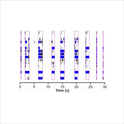 Figure 10a Raster plot for cortical neurons