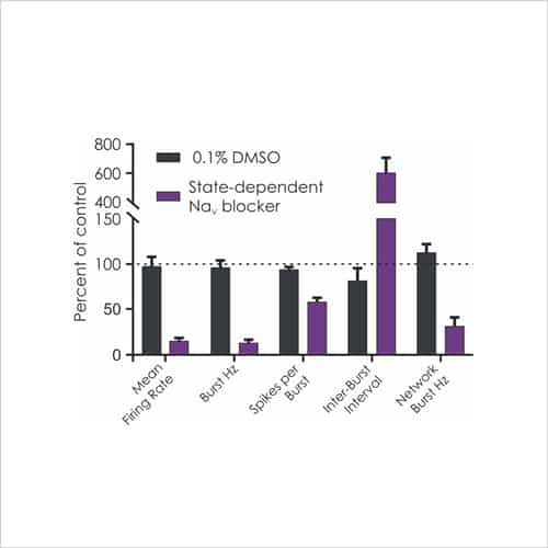 Figure 10c Raster plot for cortical neurons