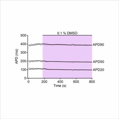 Cardiac Translational Manual Patch Assays 4 Figure 1b stimulated AP DMSO control