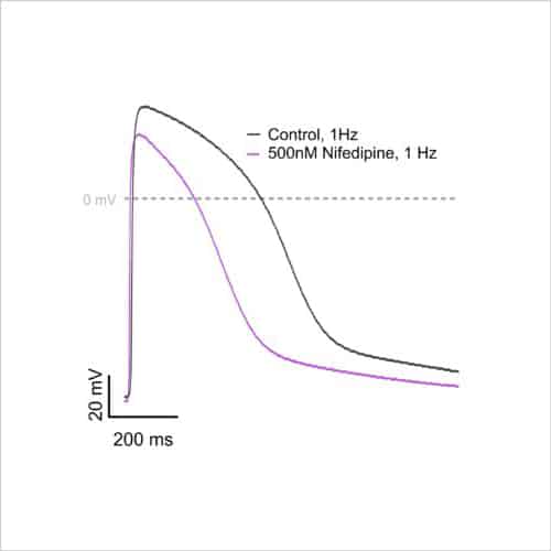 Figure 2b Stimulated example figures