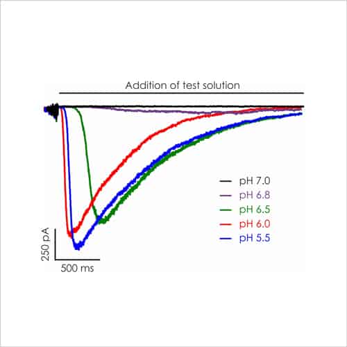 Neuroscience 9 Figure 4a. CNS Ion Channel Targets