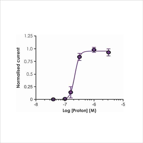 Neuroscience 10 Figure 4b. CNS Ion Channel Targets