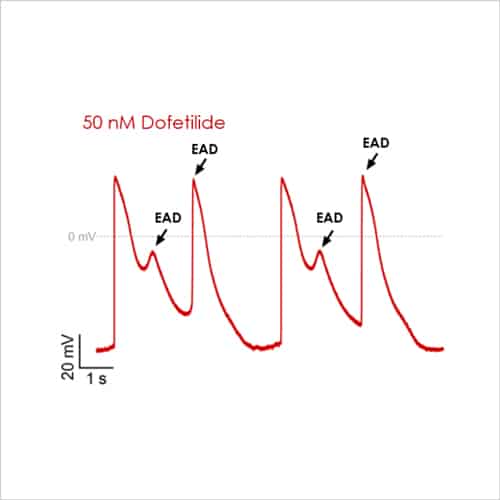 Cardiac Translational Manual Patch Assays 10 Figure 5b Landscape EAD