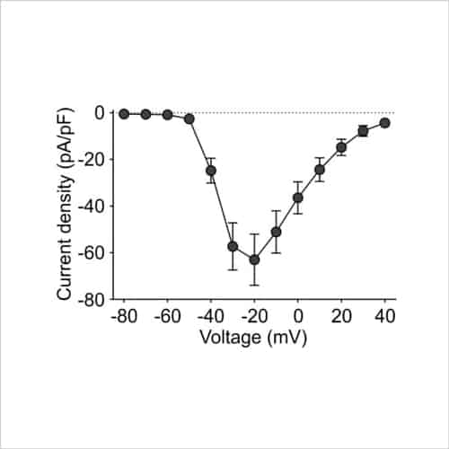 Figure 7 Voltage clamp INav IV