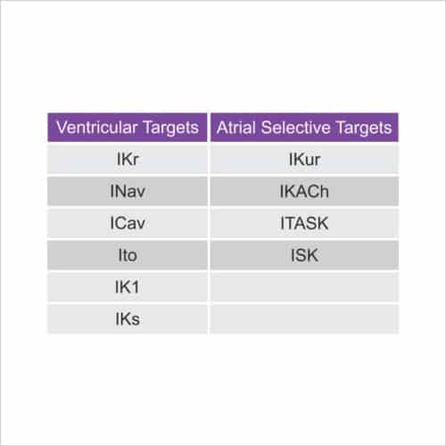 Cardiac Translational Manual Patch Assays 13 Figure 8 Manual Patch currents
