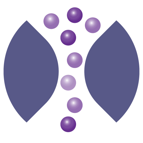 大型01 Metrion生物科学离子通道筛选图标