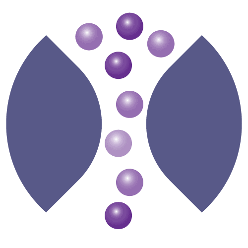 Metrion Biosciences Ion Channel Screening Icon Large 01