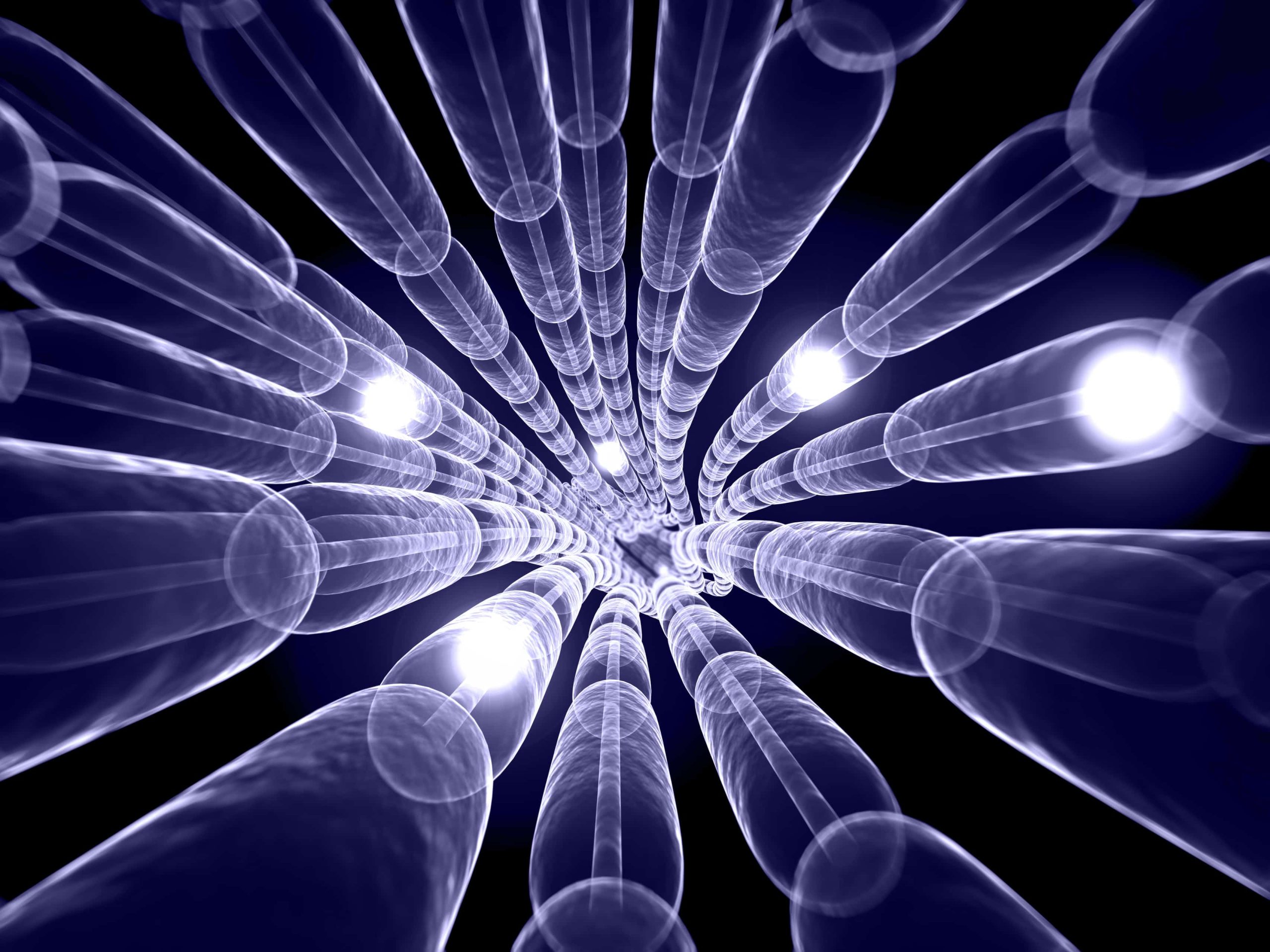 Translational Assays 1 Metrion Biosciences Translational Assays Services scaled