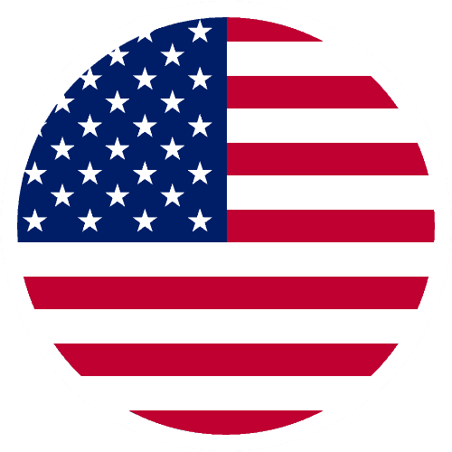 Company history 3 Metrion Flag icon USA 01