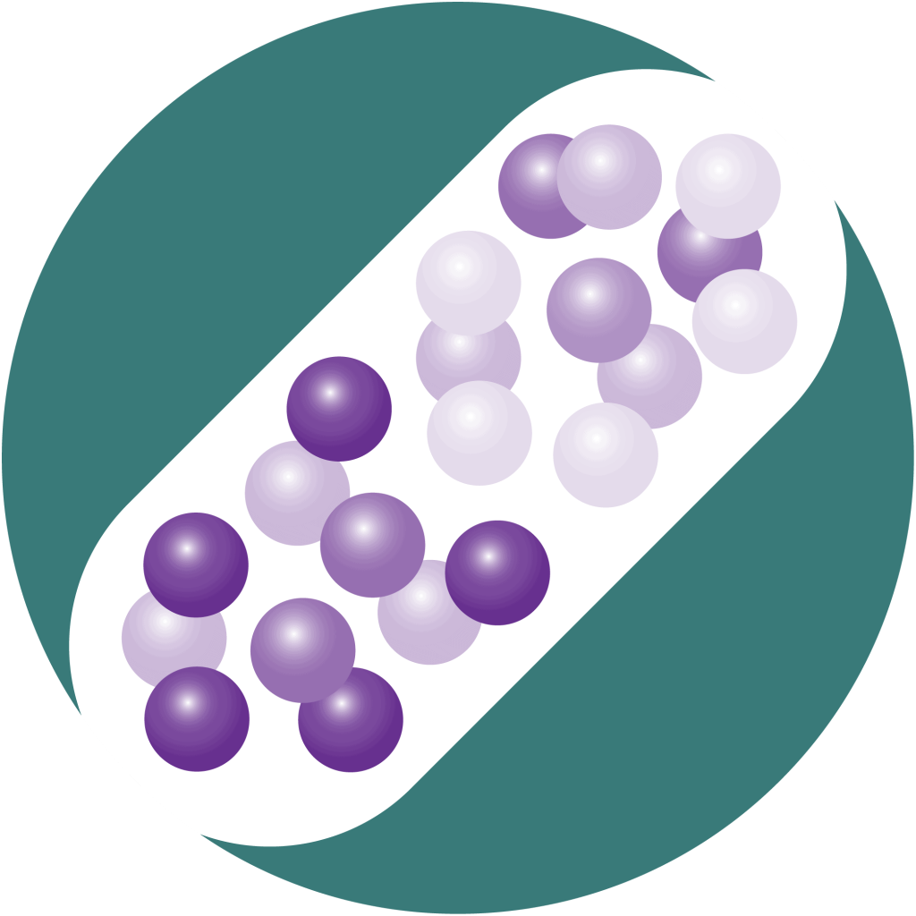 What we do 6 Metrion Integrated Drug Discovery Icons 01