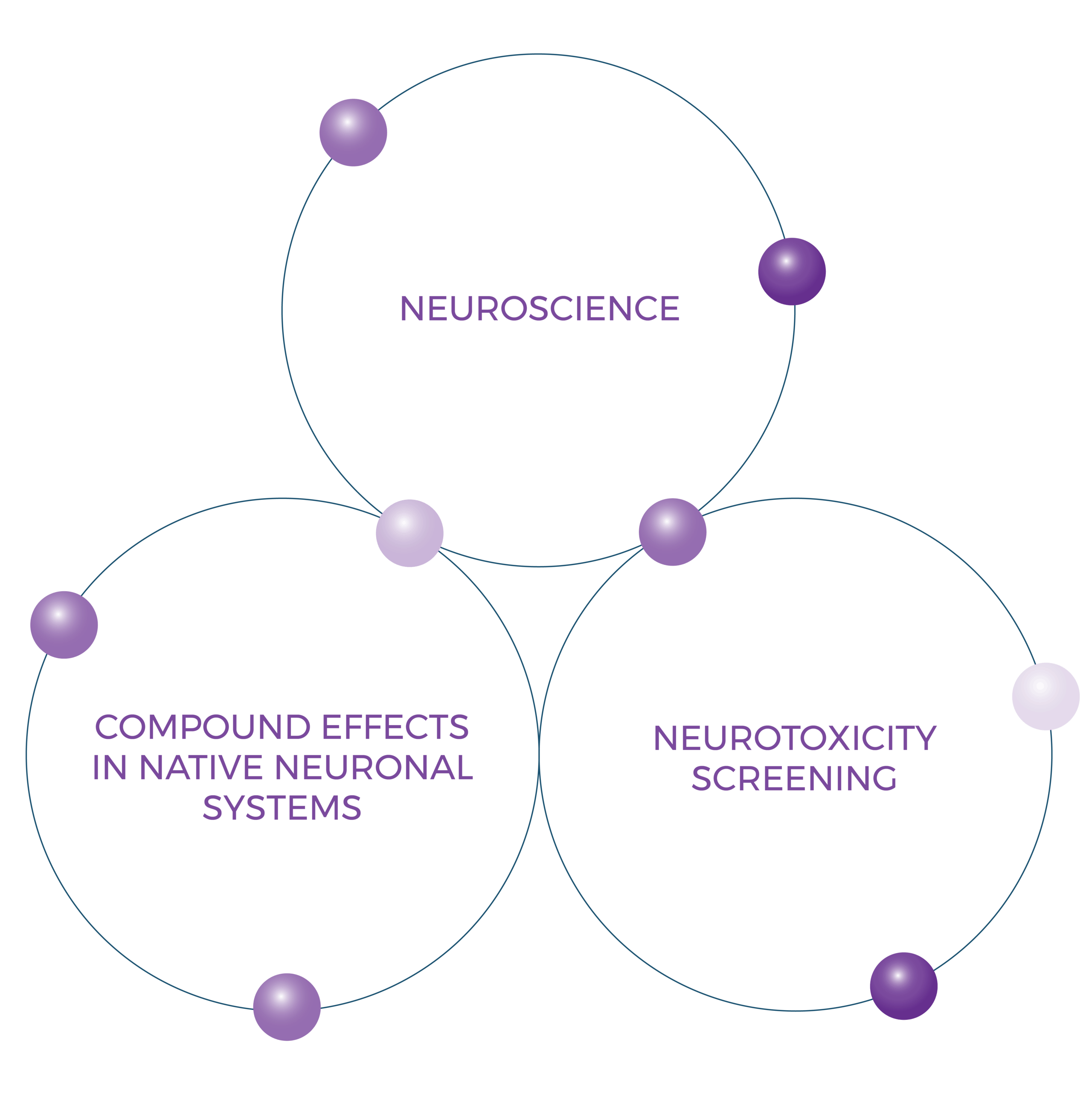 Native Neuronal Ion Channels 3 Neuroscience Approach Diagram 01