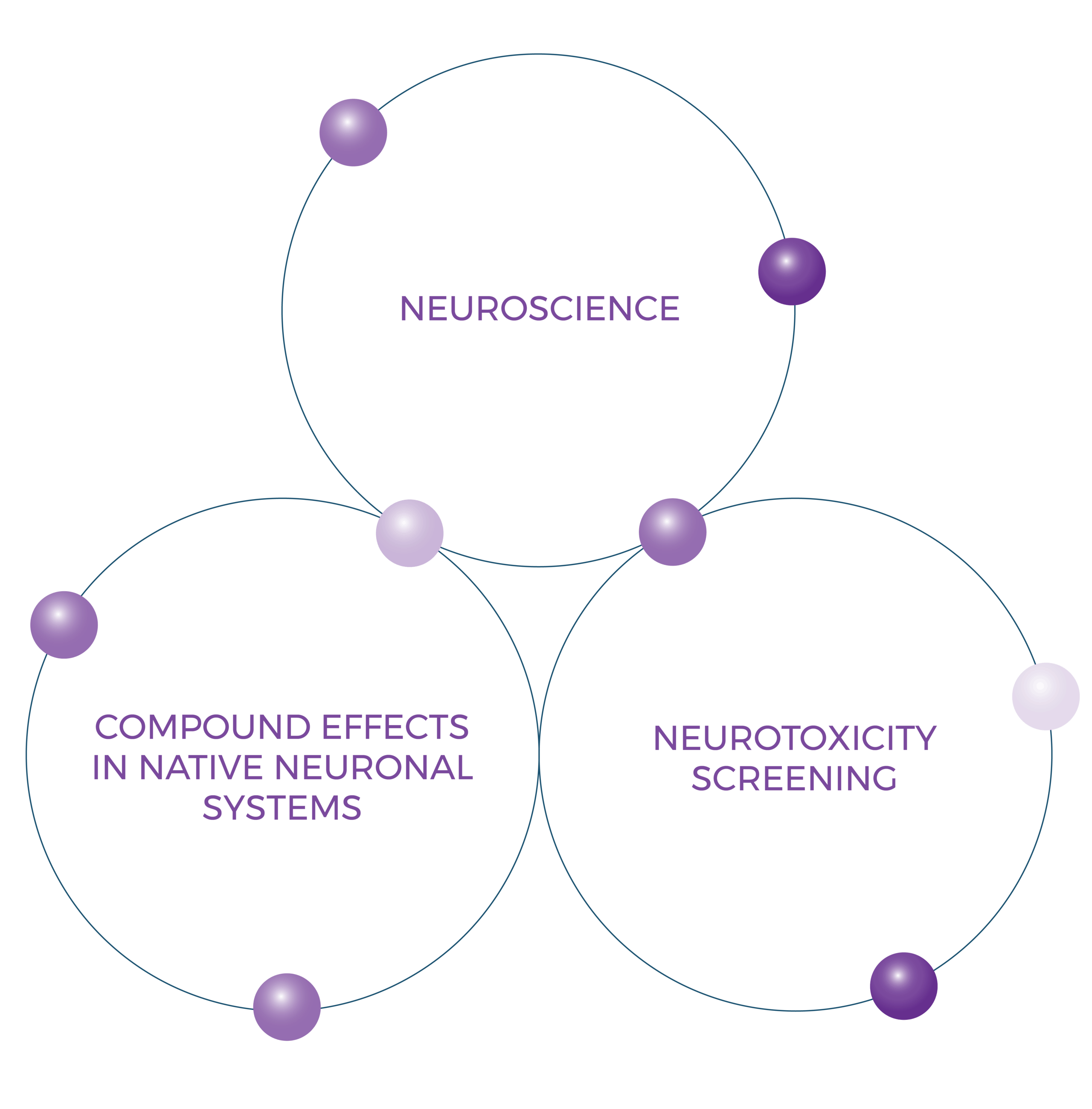 Neuroscience Approach Diagram 01