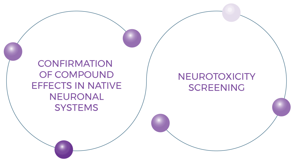 Neuroscience 3 Neuroscience Diagram Lowres 01