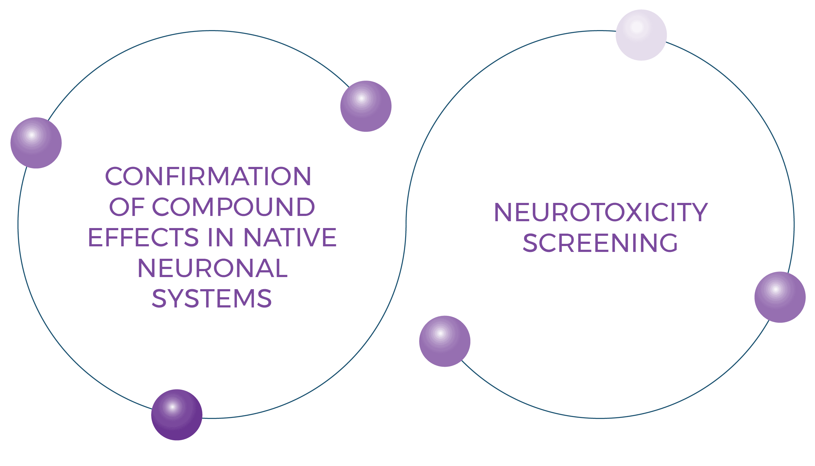 Neuroscience 3 Neuroscience Diagram Lowres 01
