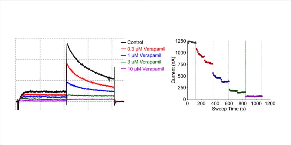 hERG Screening 4 hERG concentration response assay