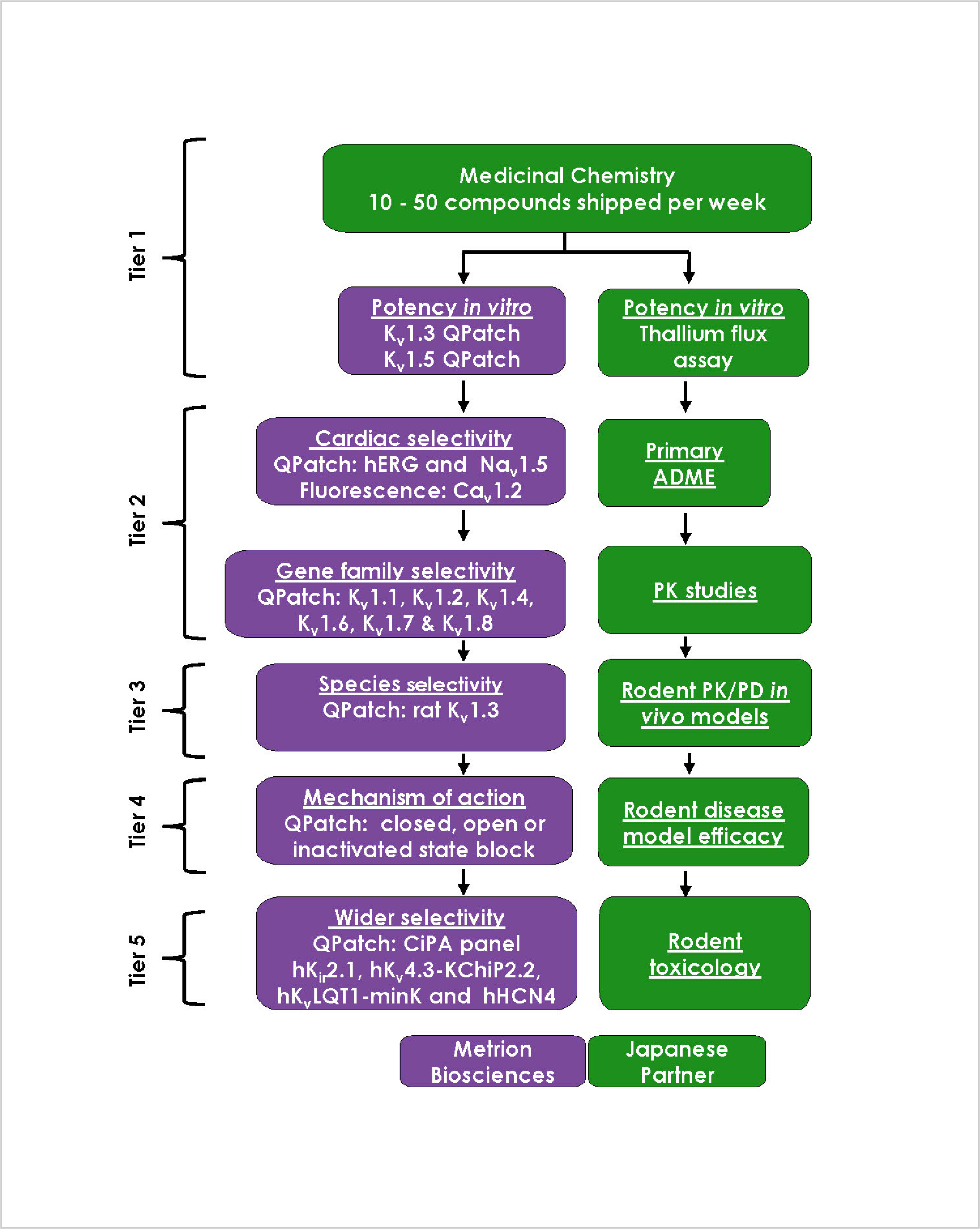 Drug Discovery collab poster Kv1.3 1a