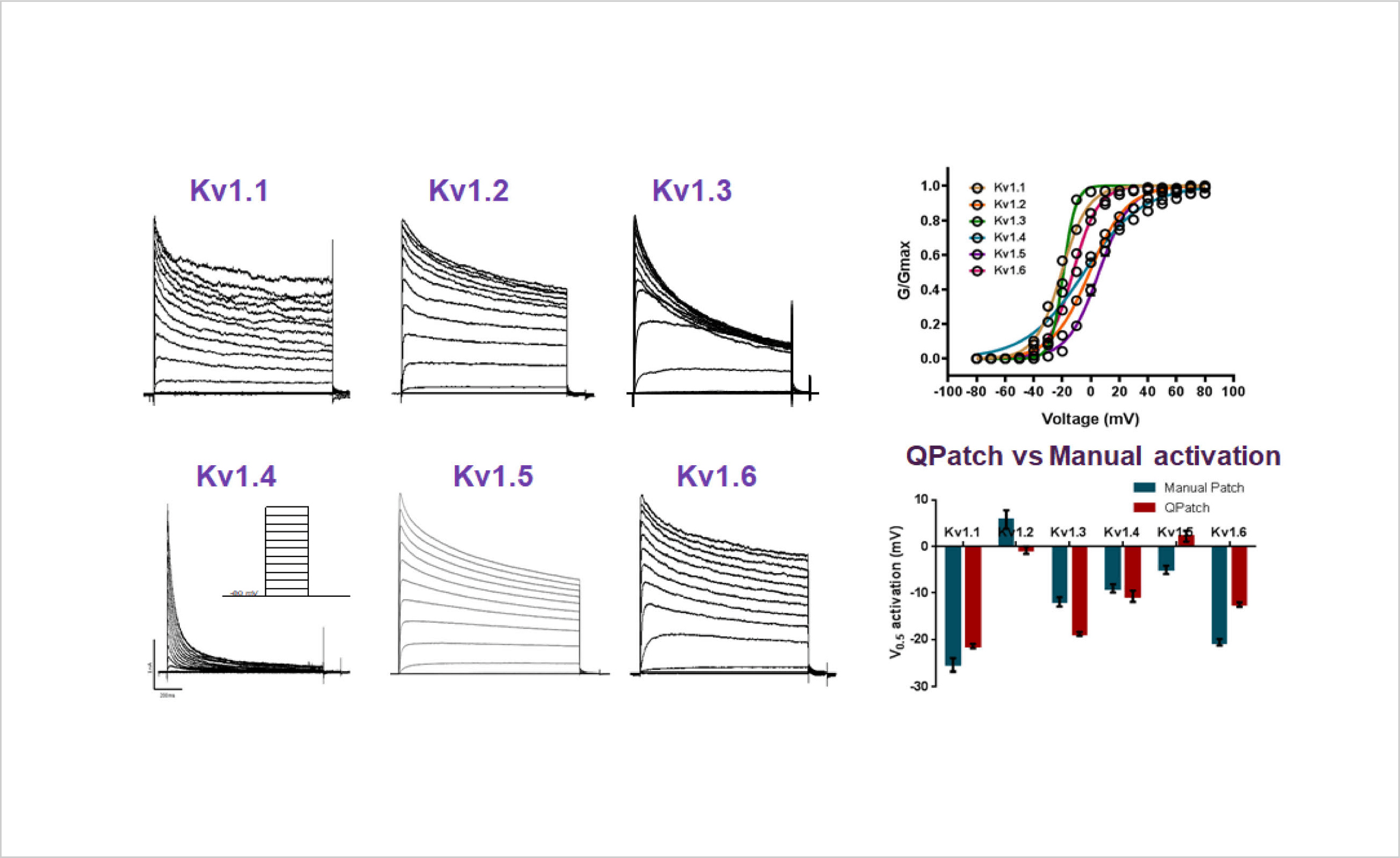 Drug Discovery collab poster Kv1.3 4d