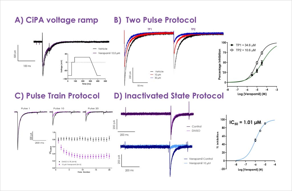 Figure 1 Assessment of in vitro Cav12 inhibition by verapamil copy