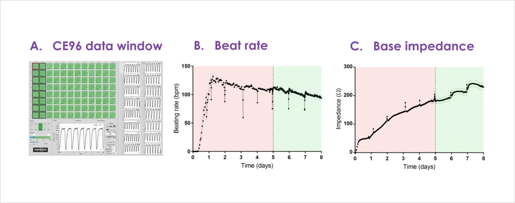 Development of an Impedance Based Screening Assay for Cardiac Safety and Cardiotoxicity Detection in Stem Cell-derived Cardiomyocytes 4 Figure 2 Representative baseline impedance data recorded from CE96