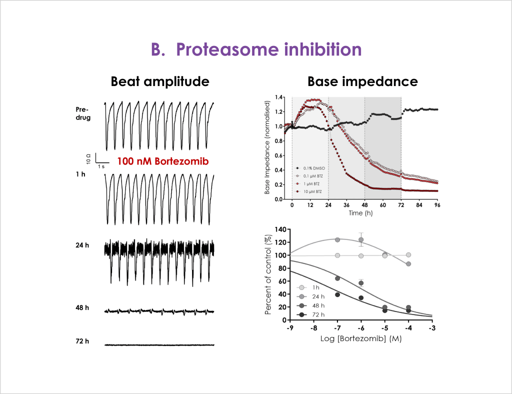 Development of an Impedance Based Screening Assay for Cardiac Safety and Cardiotoxicity Detection in Stem Cell-derived Cardiomyocytes 8 Figure 4b