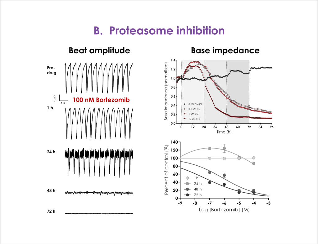 Figure 4b