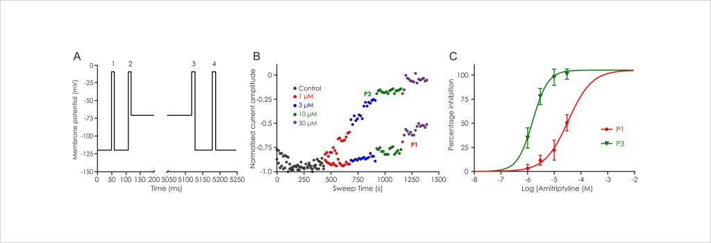 The voltage-gated sodium channel gene family 2 Nav1.4 amitrip figs