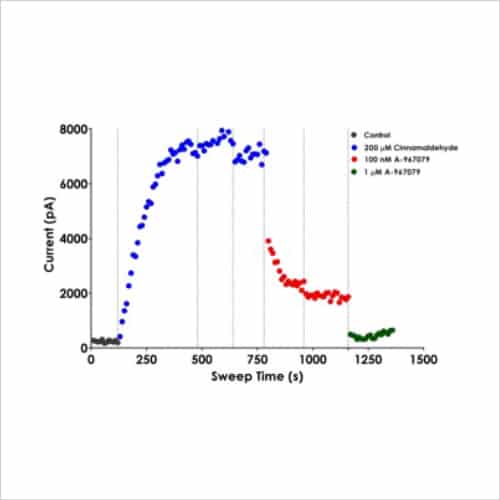 The Transient Receptor Potential (TRP) gene family 2 Representative TRPA1 current traces recorded on the QPatch 48