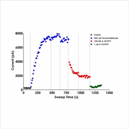 Representative TRPA1 current traces recorded on the QPatch 48