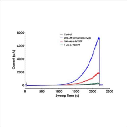 The Transient Receptor Potential (TRP) gene family 3 Representative TRPA1 current traces recorded on the QPatch 48b