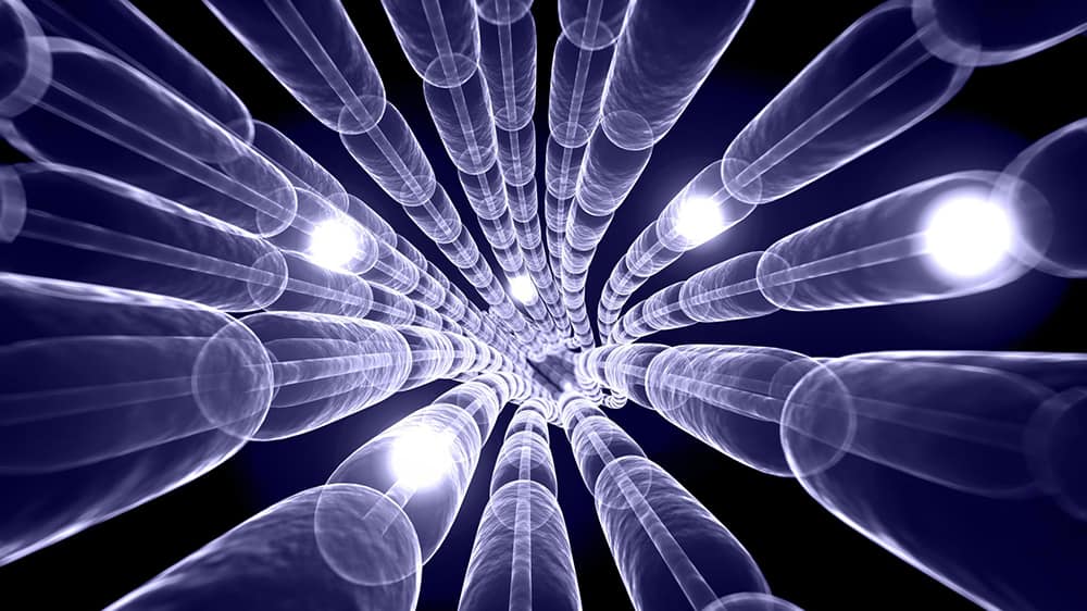 Native Neuronal Ion Channels 1 Metrion Biosciences Translational Assays Services 1920x1440 1