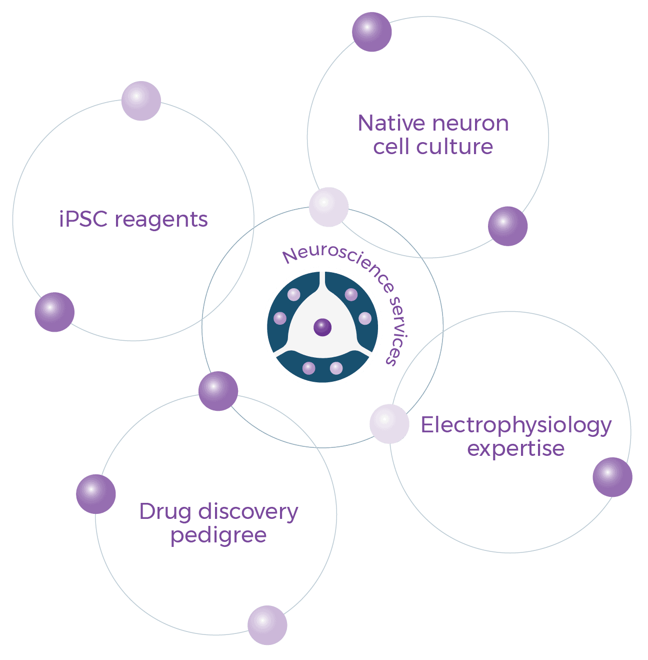 Neuroscience 4 Neuroscience Services Diagram 01