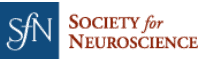 Society for Neuroscience logo 2023