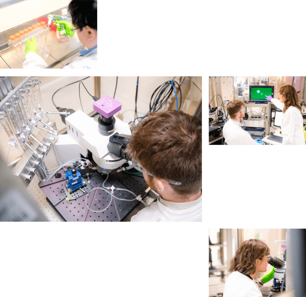 Discover the potential of GLP hERG 4 GLP hERG Screening at Metrion Biosciences